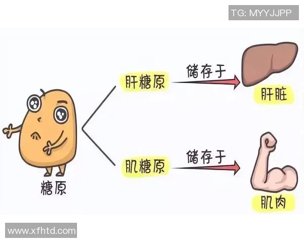 提升运动表现从饮食开始 运动爱好者必看的科学营养指南 提升运动表现从饮食开始 运动爱好者必看的科学营养指南