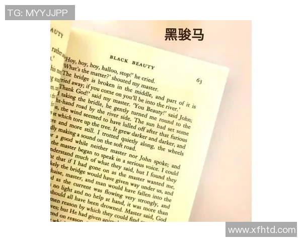 世界杯荣耀之路：各国拼搏背后的传奇故事与历史进程